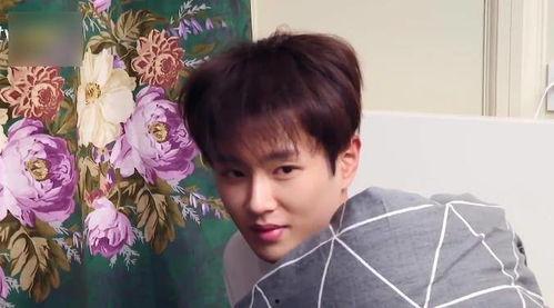 李贺吃瓜看娱乐圈,揭秘娱乐圈背后的故事